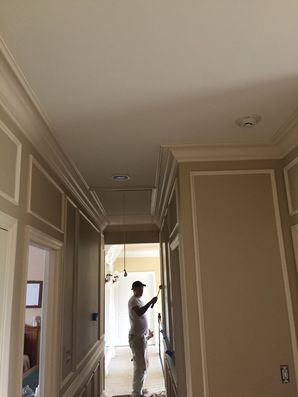 Action Shots and Finished Product of a High-end Hallway with Decorative Trim in Mars, PA (4)