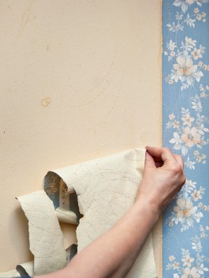 Wallpaper removal in Observatory, Pennsylvania by Mario's Painting & Home Maintenance, LLC.